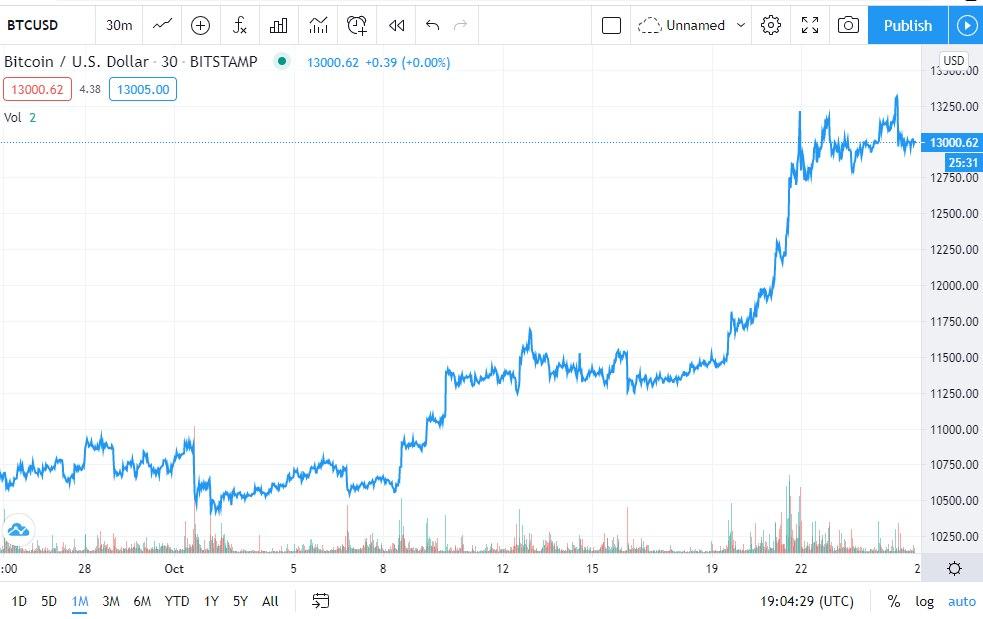 Bitcoin Price Chart 1-Month (Source: TradingView)