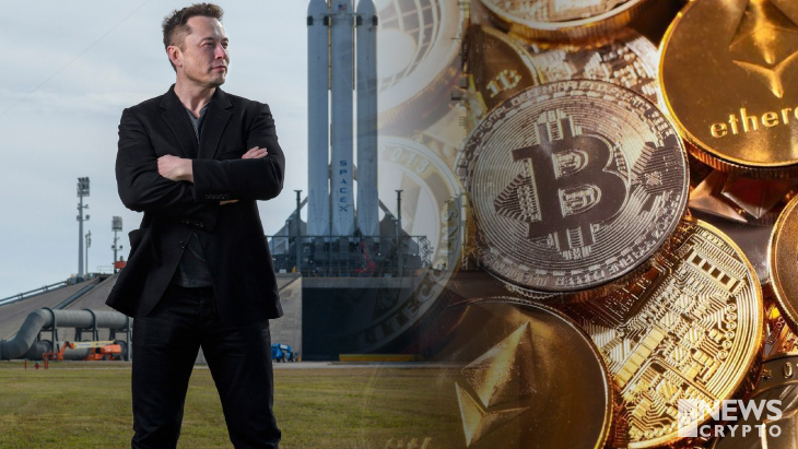 How much xrp does elon musk own
