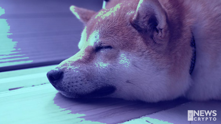Dogecoin Is Losing Interest Amongst the People