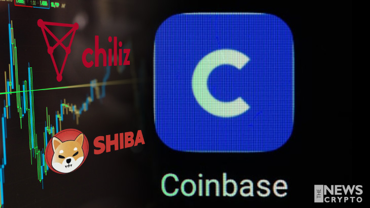 SHIB and CHZ Token Price Surges Around 30%