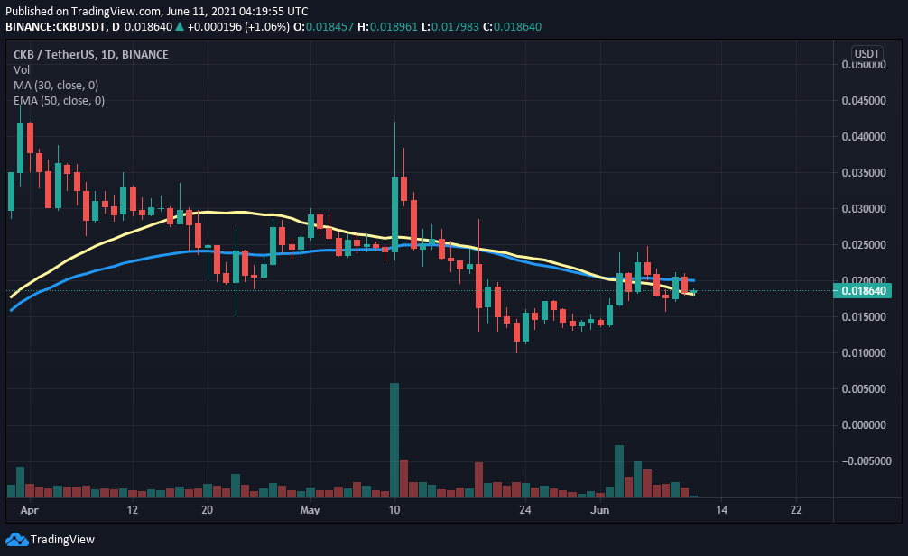 ckb crypto price prediction