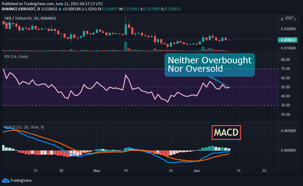 ckb crypto price prediction 2021