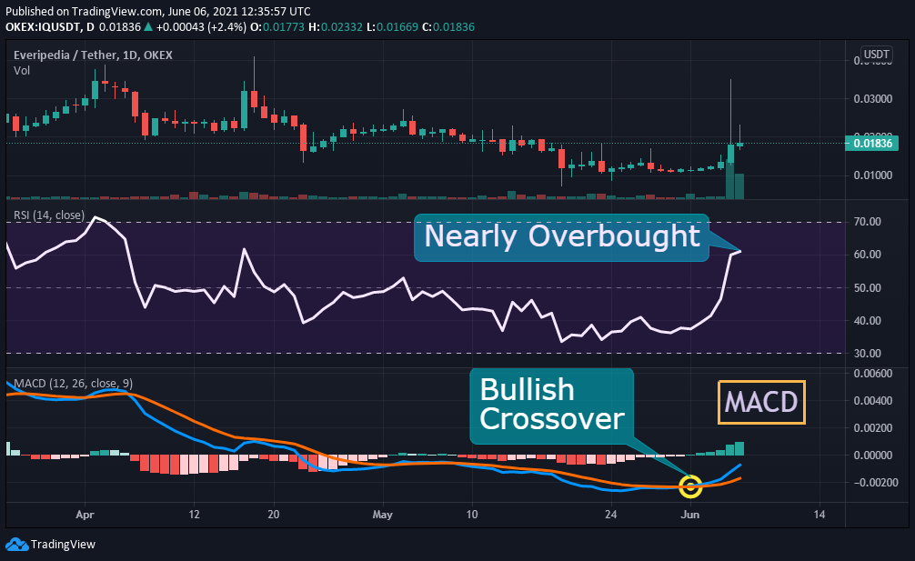 IQ RSI and MACD