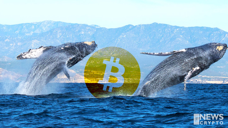 Binance Received 1000 BTC From an Anonymous Wallet