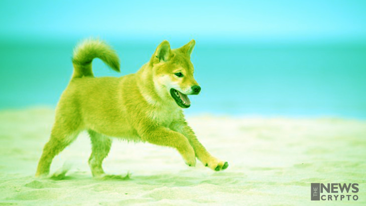 Dogecoin Trading Volume Shoots Up to $1B in Q2