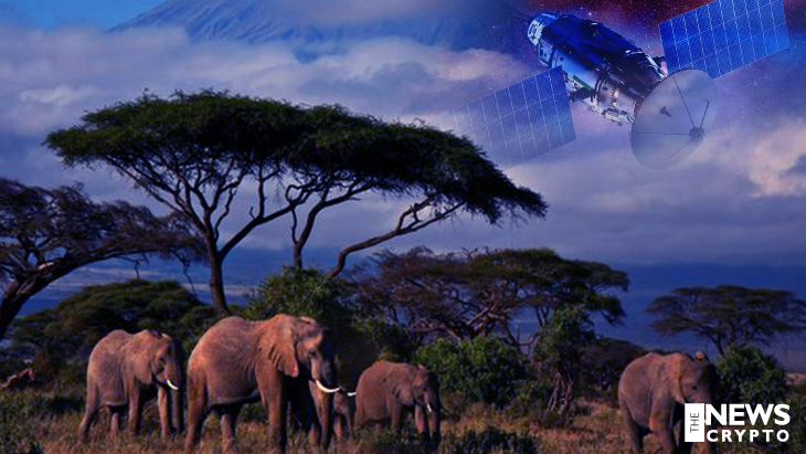 NFTs and on-Demand Satellites Are Collaborated To Save Africa’s Wildlife