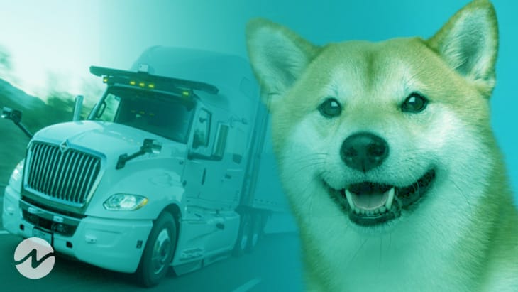 Truck Driver Regains 10 Million Doge Through Wallet recovery service