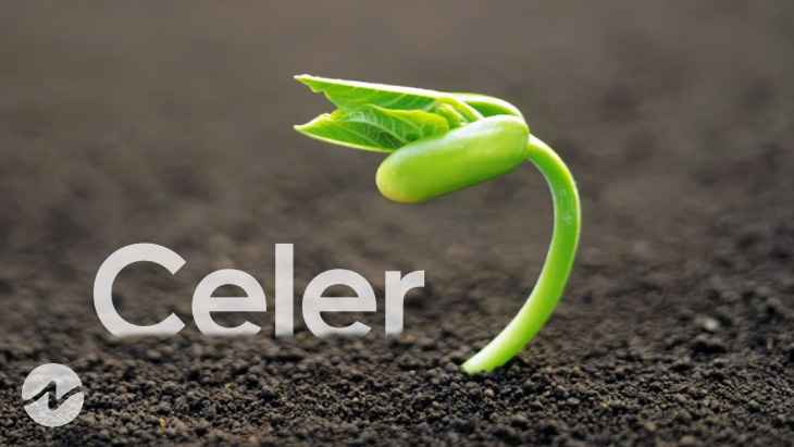 Celer Network (CELR) Uprises Over 25%, While Leading Cryptos Still Down