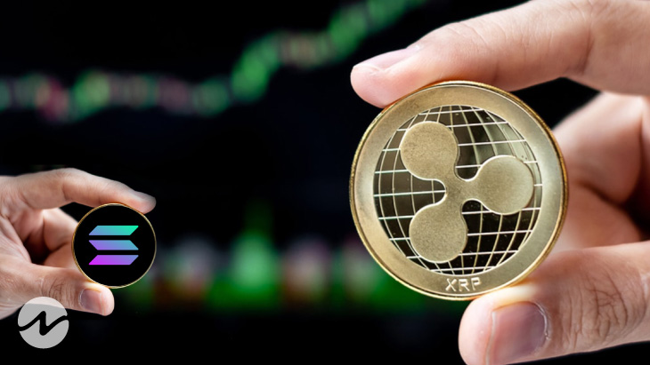Ripple’s XRP Thrashes Solana (SOL) Gaining Back Its Throne!