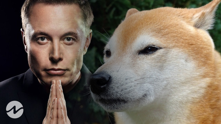 Major Dogecoin Twitter User Posts “Dogecoin Community Will Support Musk”
