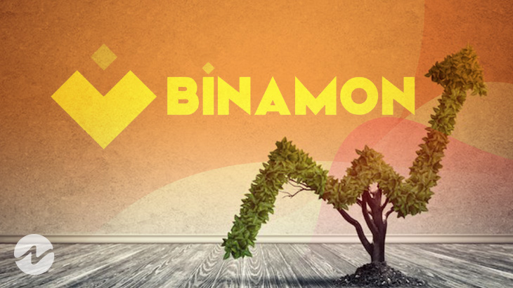 Binamon (BMON) Price Skyrockets Over 95% in Last 24 Hour