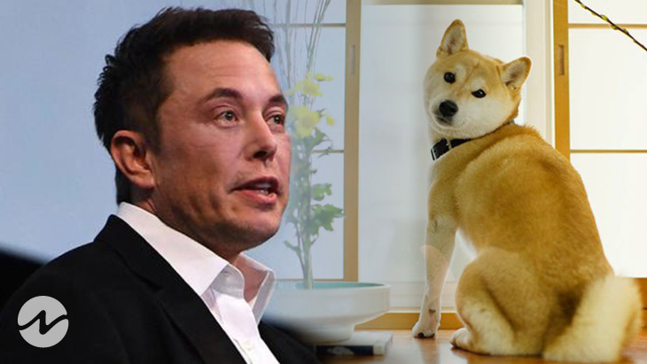 Tesla CEO Elon Musk Tweeted Dogecoin to Reduce its Fees