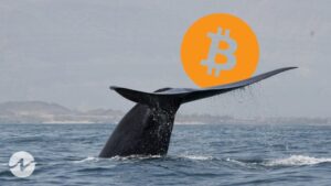 Bitcoin Whales Starts Dumping as On-Chain Data Reveals