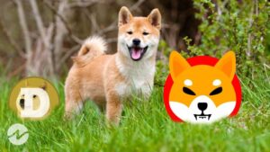 Dogecoin and Shiba Inu Peaked Prediction, Correct?