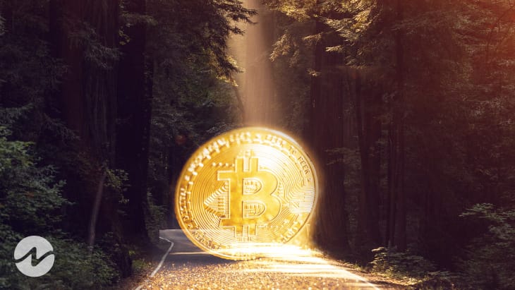 Bitcoin Golden Cross Probably Tomorrow Anticipates Lark Davis