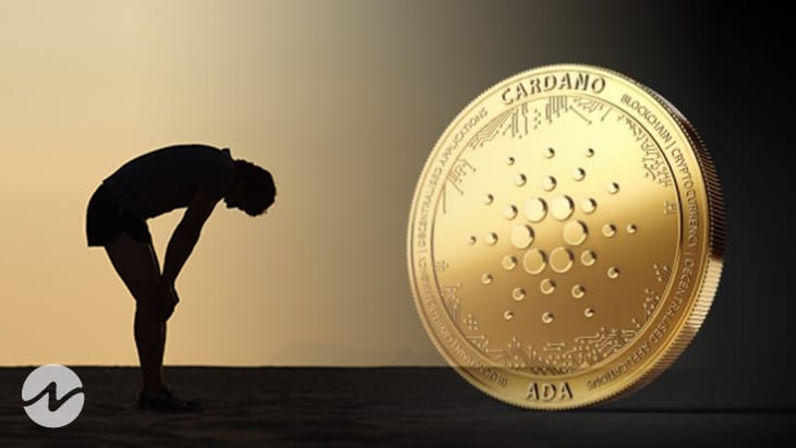 Cardano (ADA) Needs Retail Trader's Support to Avoid Downfall