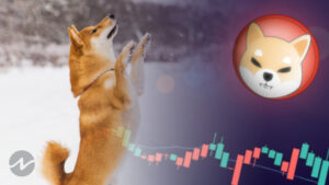 Top Gainer Of The Week : Shiba Inu (SHIB) Jumped Over 273%
