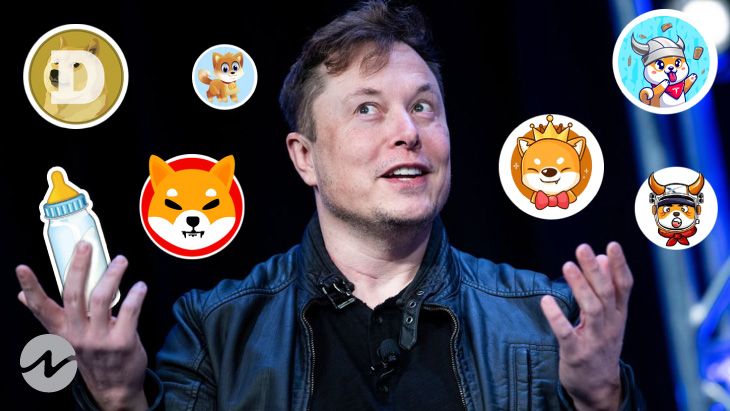 Shiba Inu (SHIBA) Price Surges Following Tweet by Elon Musk