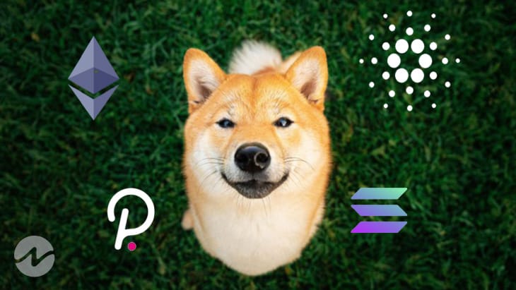 Analyst Advises Investors to Shift From Shiba Inu (SHIB) To Other Altcoins