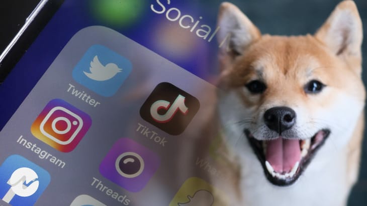 Shiba Inu (SHIB) Still Trending on Social Media But Prices Faces Consolidation