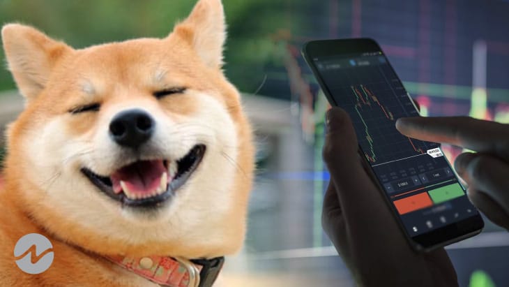 Shiba Inu (SHIB) Surpassed All Other Non-Stablecoin Token