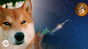 Elon Musk Terms Shiba Inu (SHIB) on Reaching $0.1!