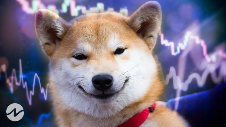 Shiba Inu (SHIB) Price Up-surges Almost 46 Percent in Two Days