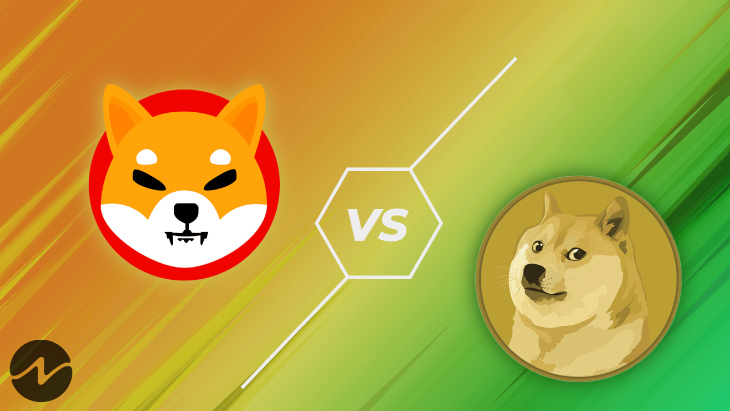 What’s The Big Deal About The ‘Hype’ Shiba Inu VS Dogecoin Battle ...