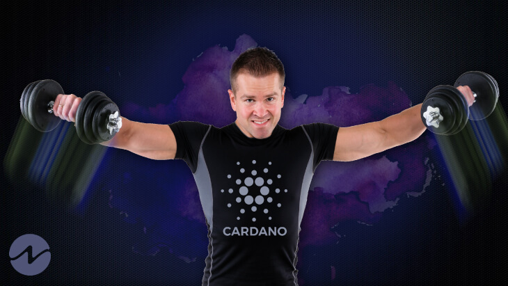 Cardano Raises Block Size by 12.5%, Shows Slow and Steady Growth