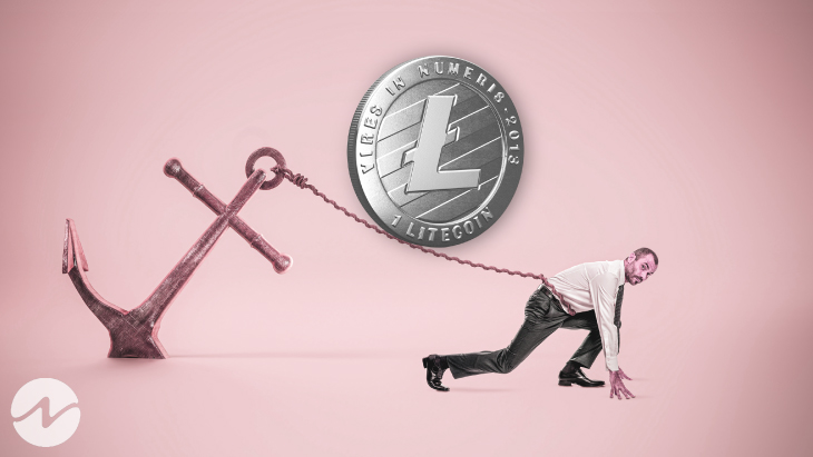 Litecoin(LTC), the Next LUNA? Exchanges Worried!