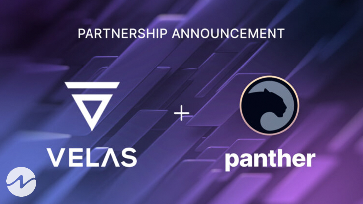 Panther and Velas Partner To Deliver Blazing Fast Private DeFi Experience