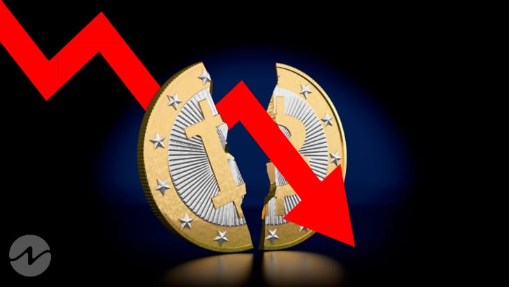 Crypto Market Continues the Downward Trend This Weekend