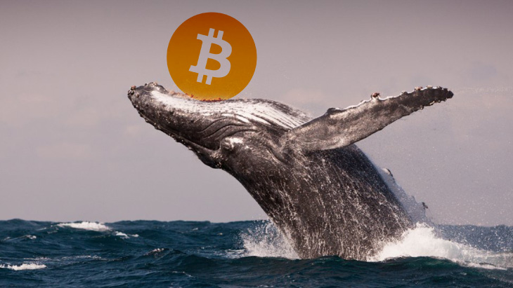 Whale BTC cambia 800 Bitcoins de Binance a Gemini