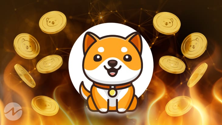 $4.8M Worth BabyDoge Tokens Burnt In The Last 12 hours