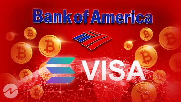 Bank of America's Digital Asset Analyst Predicts Solana to Dominate Similar to Visa