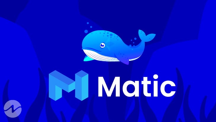 Polygon (MATIC) Large Whale Transactions Surge by 105% as per Reports