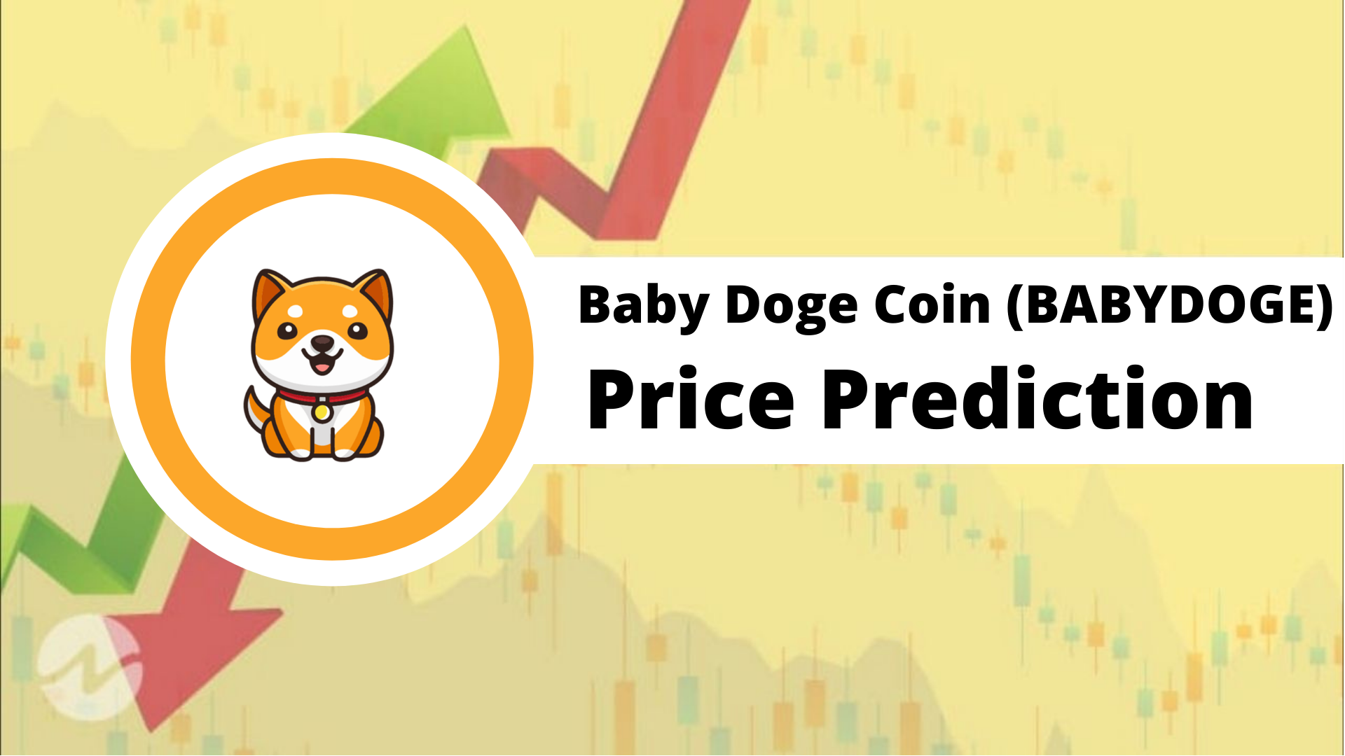 Baby doge price
