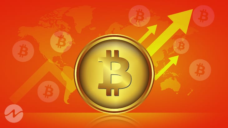 Investing in Bitcoin (BTC) Turned Out More Profitable Than COIN