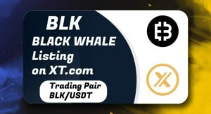 XT Exchange Will List BLK (BLACK WHALE) on February 15th 2022