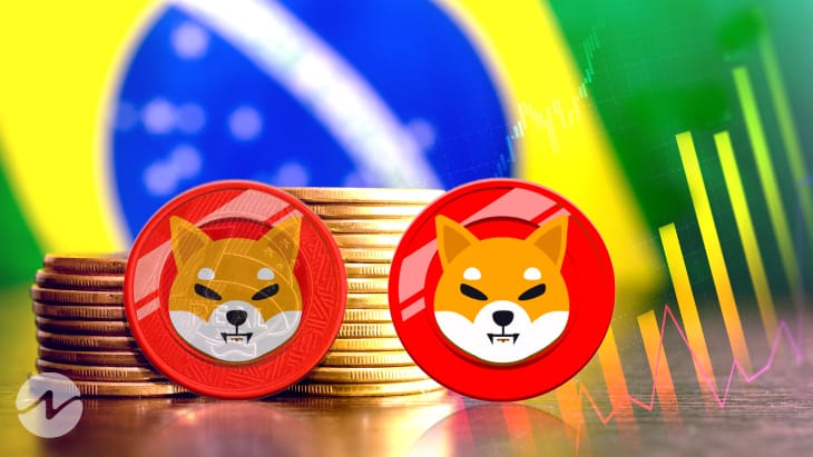 Brazil Based Prominent Crypto Exchange Foxbit Lists Shiba Inu (SHIB)