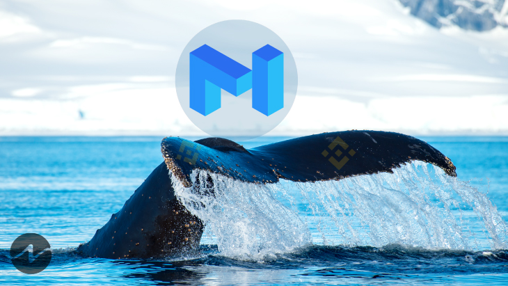 binance whale telegram