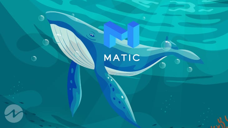 Polygon (MATIC) Price Surges Following Massive Whale Accumulation