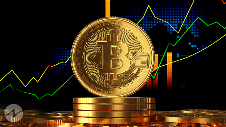 Bitcoin Wallets Holding 1 BTC Archived New All-Time High