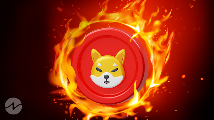 $15 Million Shiba Inu Token Has Burnt In The Last 24 Hours