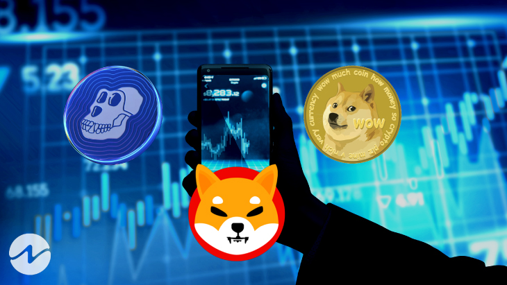 Top 3 Crypto With Better Investment Scope Now