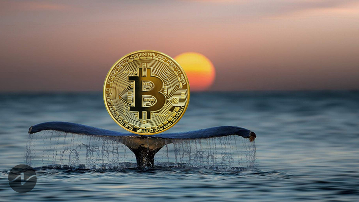 Whale Alert: Unknown Wallet Buys $25.7M Worth Bitcoin From Gemini