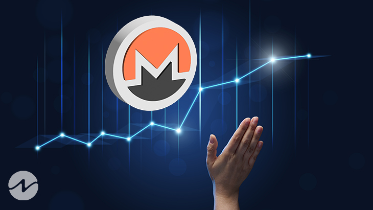 Monero (XMR) Nqe Faces Brutal Bear Pressure Breaking Key Support Levels