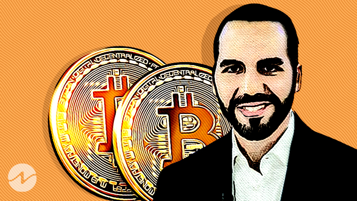 El Salvador to Purchase One BTC Everyday - Entire Crypto Space Is Shocked!