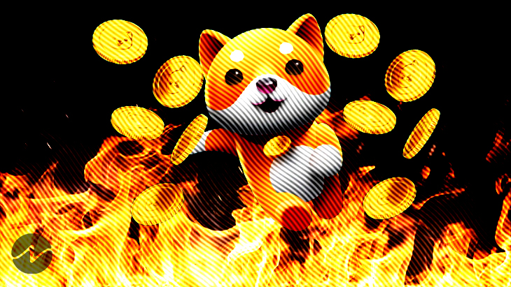 Hoće li masivni Burn skočiti u nebo Baby Doge Coin (BabyDoge)?