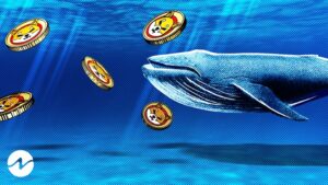 Largest SHIB Whale Spotted, $1.55M Worth Tokens Purchased